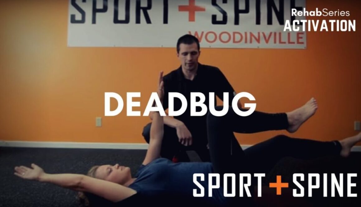 Chiropractor Clinic Seattle WA Deadbug